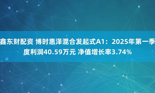 鑫东财配资 博时惠泽混合发起式A1：2025年第一季度利润40.59万元 净值增长率3.74%