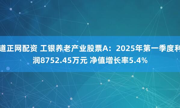 道正网配资 工银养老产业股票A：2025年第一季度利润8752.45万元 净值增长率5.4%