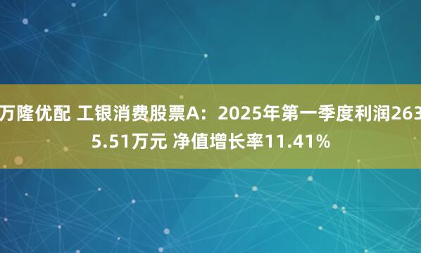 万隆优配 工银消费股票A：2025年第一季度利润2635.51万元 净值增长率11.41%