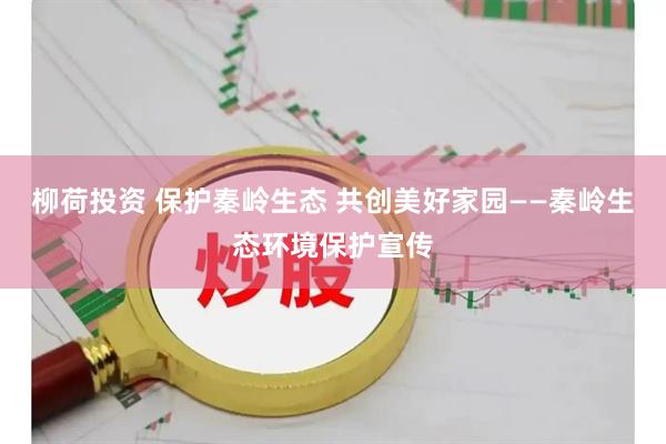 柳荷投资 保护秦岭生态 共创美好家园——秦岭生态环境保护宣传
