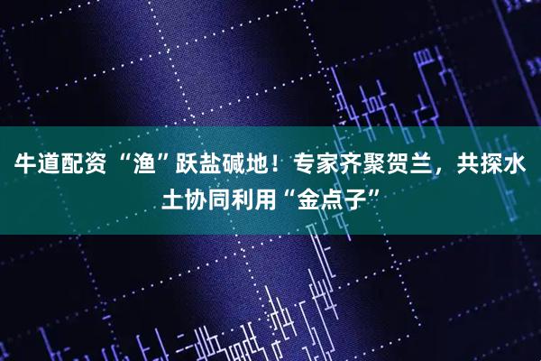 牛道配资 “渔”跃盐碱地！专家齐聚贺兰，共探水土协同利用“金点子”
