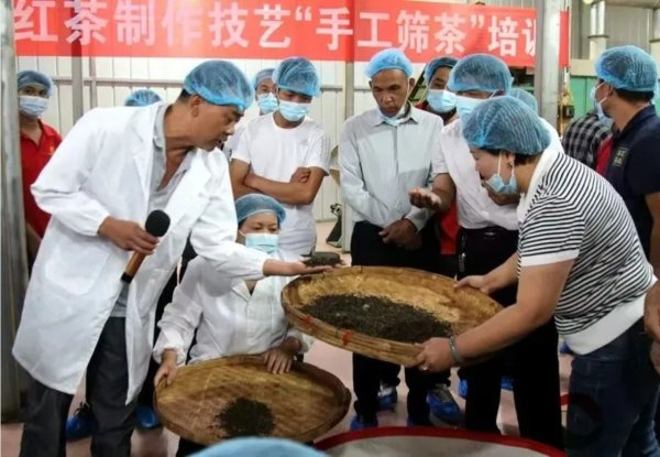 恩卓中盈 云南凤庆县以“盟”为媒赋能产改促发展