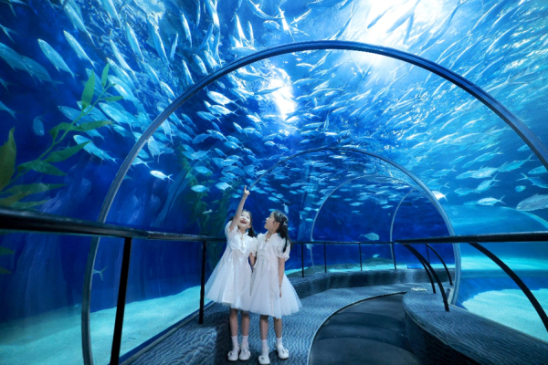 牛津配资 国庆长假，去海洋水族馆寻找会发光的“海洋精灵”