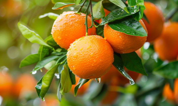 上证速配 一口气5个，杭州男子突然倒地送医！严重者可能心跳骤停，切勿多吃…