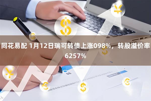 同花易配 1月12日瑞可转债上涨098%，转股溢价率6257%
